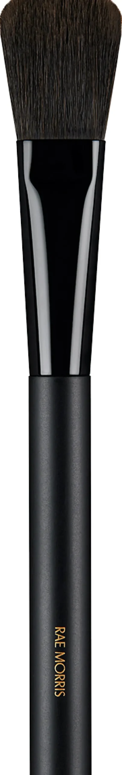 #6 Deluxe Pro Blender|RAE MORRIS Hot