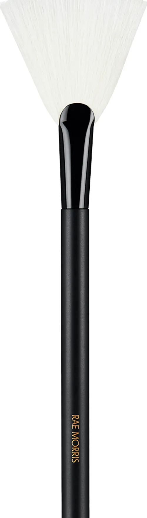 #25 Fan Highlighter|RAE MORRIS Sale