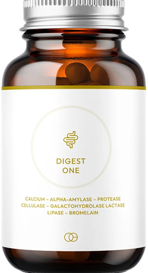 Digest One|Onegevity Outlet