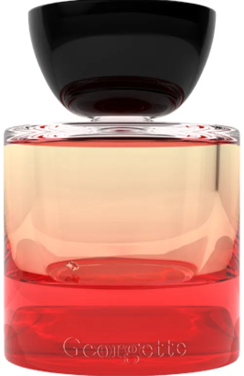 Georgette|Vyrao New
