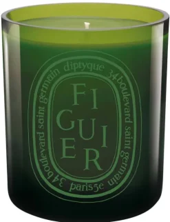 Green Candle Figuier|Diptyque Discount
