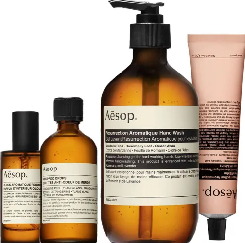 Hand and Home Offering (Screen 1)|Aesop Best