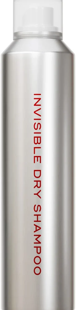 Invisible Dry Shampoo|THE EVERY Discount