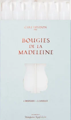 Madeleine Candle|Trudon Outlet