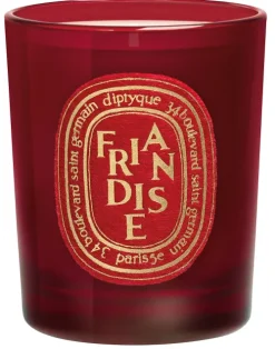 Mini Candle Friandise|Diptyque Sale