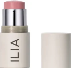 Multi Stick|Ilia Online