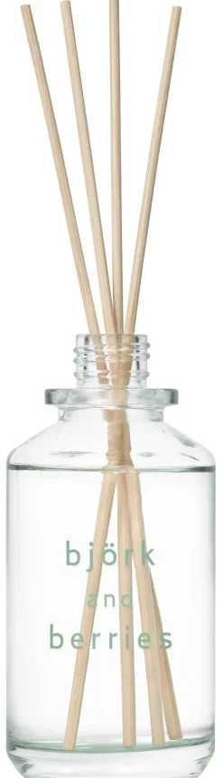 Never Spring Reed Diffuser|Björk and Berries Outlet