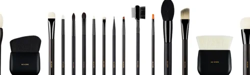Pro Starter Brush Set ( 16 Piece )|RAE MORRIS Online