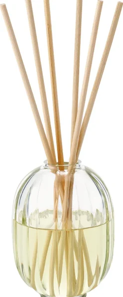 Reed diffuser Figuier|Diptyque Sale
