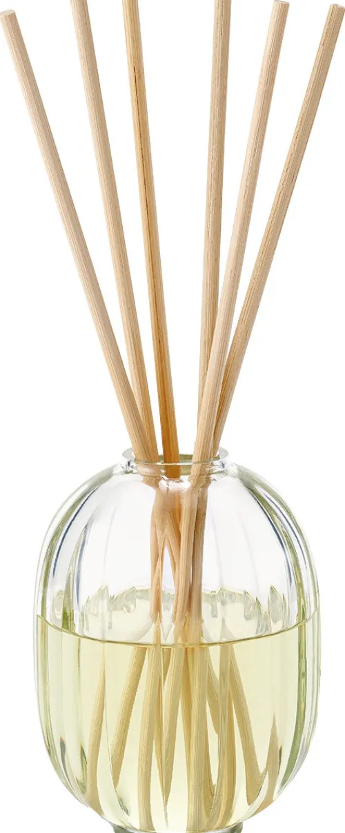 Reed diffuser Figuier|Diptyque Sale