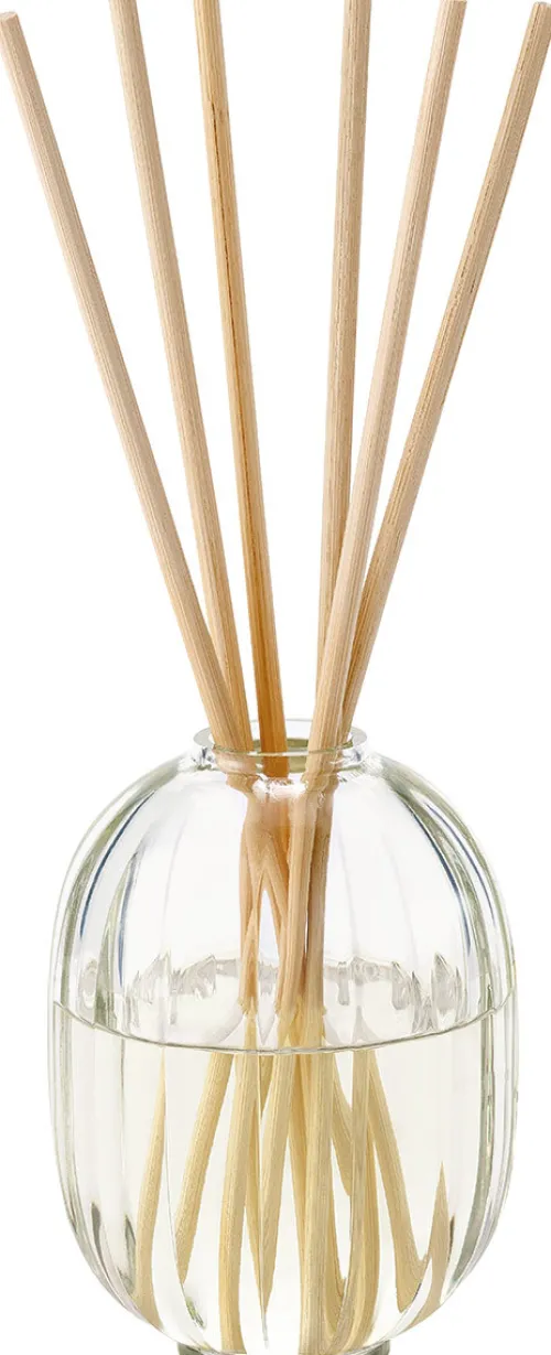 Reed diffuser Mimosa|Diptyque Discount