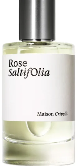 Rose Saltifolia|Maison Crivelli Clearance