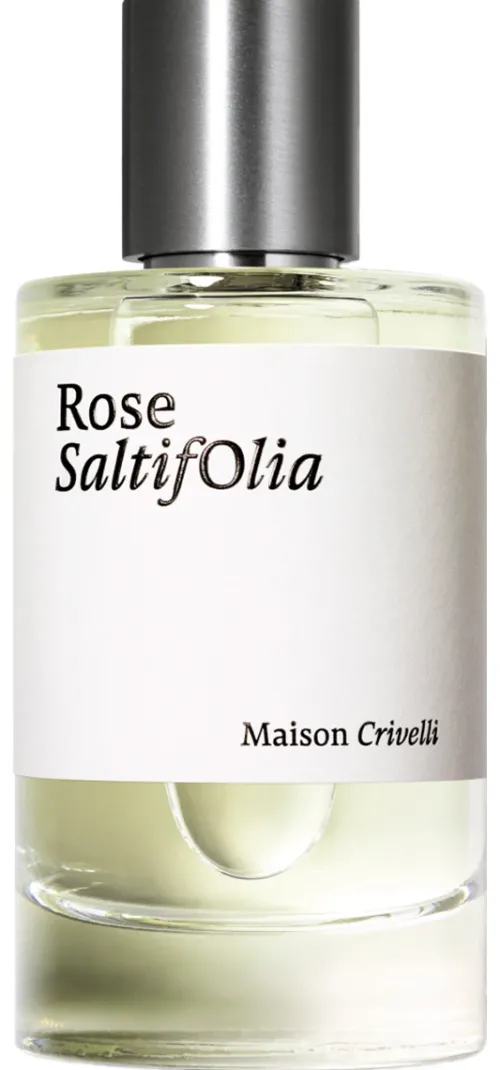 Rose Saltifolia|Maison Crivelli Clearance