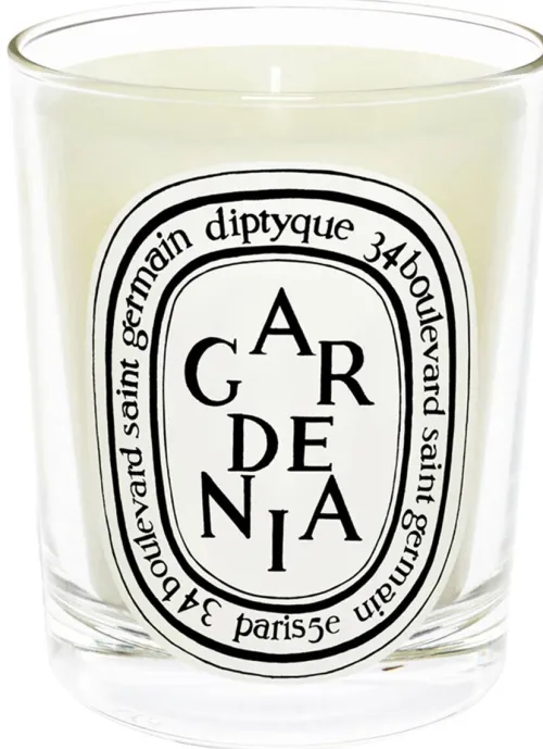 Standard Candle Gardenia|Diptyque Sale