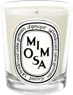 Standard Candle Mimosa|Diptyque Outlet