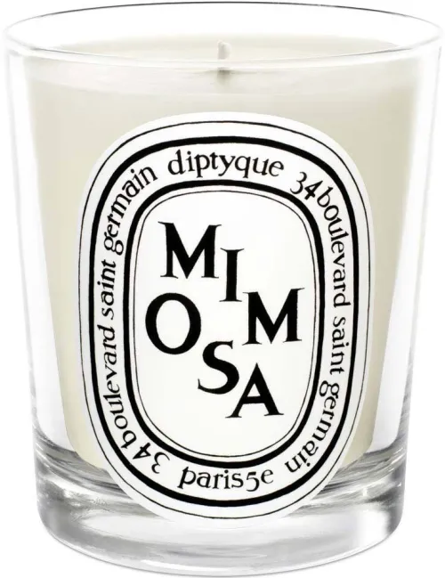Standard Candle Mimosa|Diptyque Outlet
