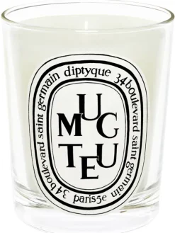 Standard Candle Muguet|Diptyque New
