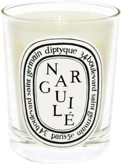 Standard Candle Narguilé|Diptyque Discount
