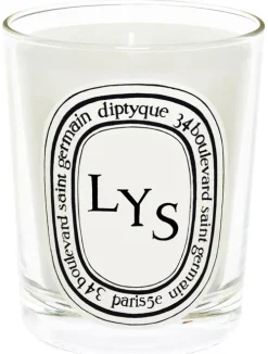 Standart Candle Lys|Diptyque Discount