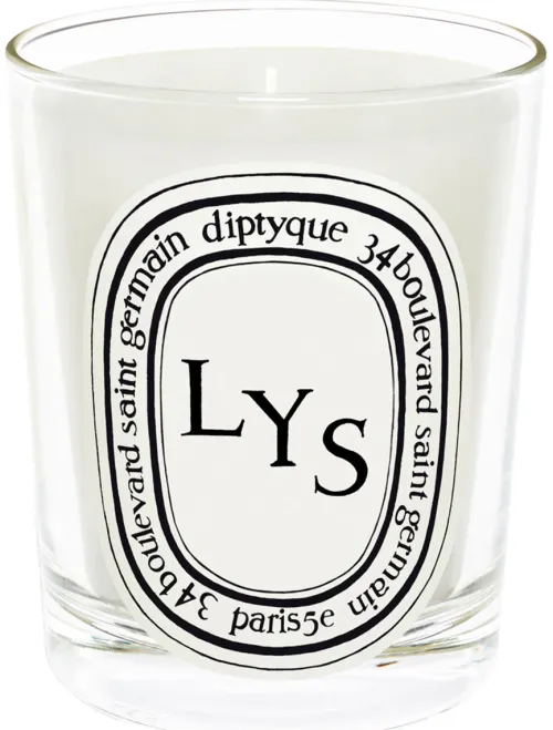 Standart Candle Lys|Diptyque Discount